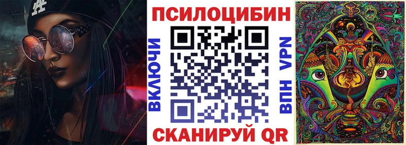 сколько стоит  OMG зеркало  Псилоцибиновые грибы MAGIC MUSHROOMS  Новый Уренгой 